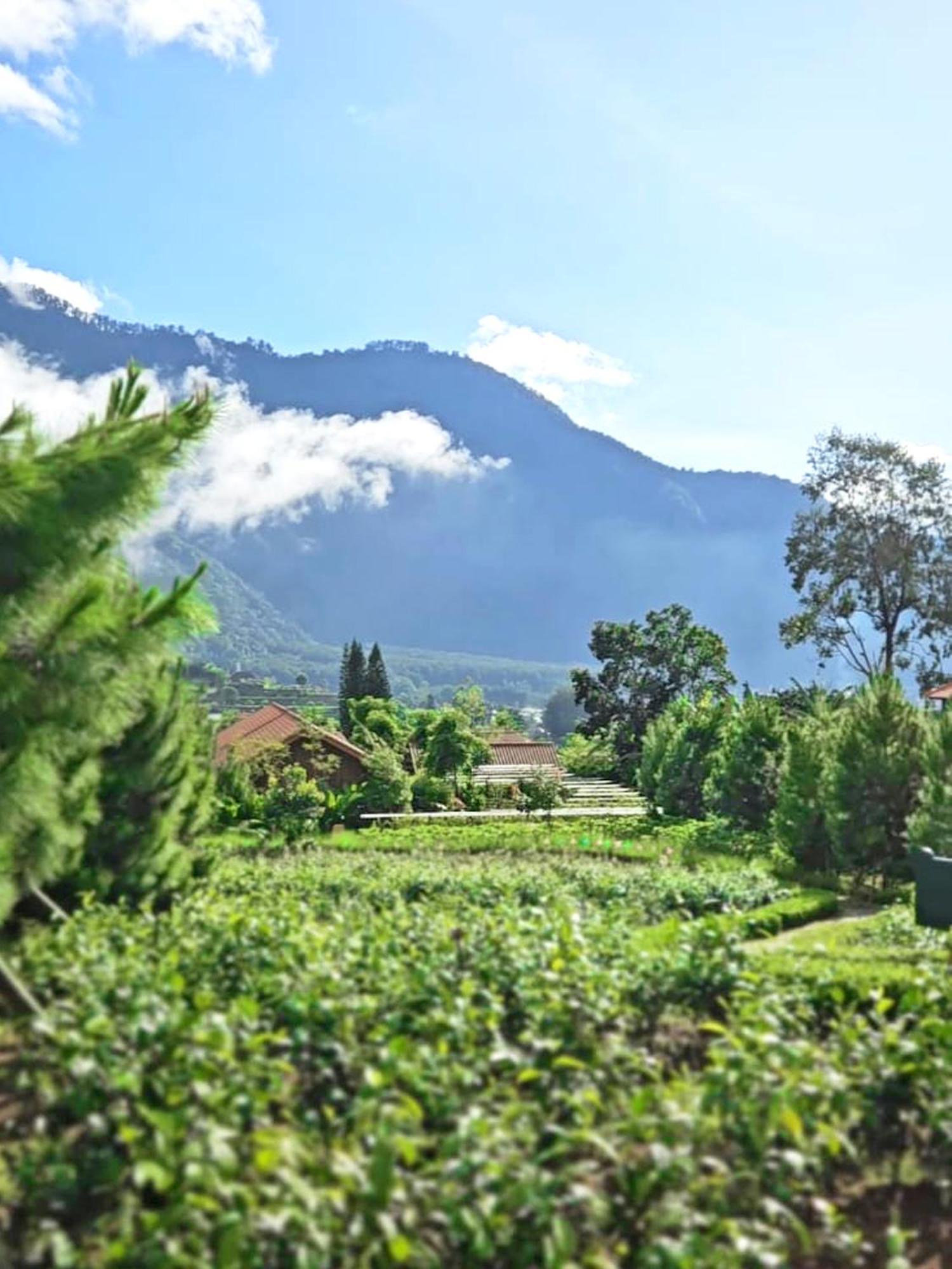 Dusun Bedugul Asri Hotell Eksteriør bilde