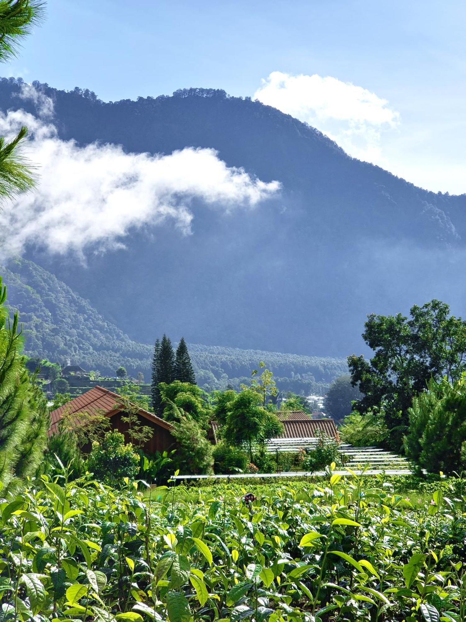 Dusun Bedugul Asri Hotell Eksteriør bilde
